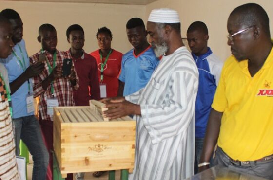 LA FONDATION RAVI  : dix (10) jeunes et femmes formés en apiculture