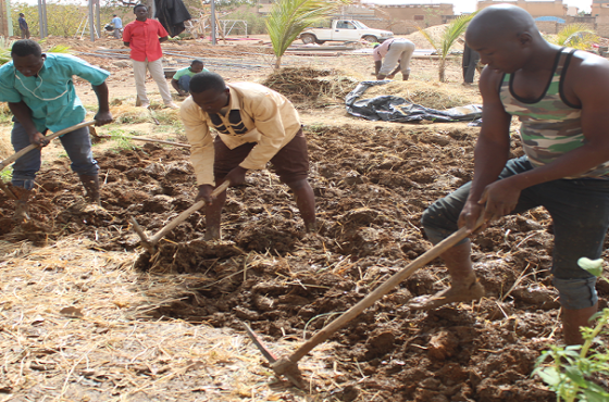 FORMATION EN AGRICULTURE : 16 jeunes et femmes se perfectionnent au Laboratoire