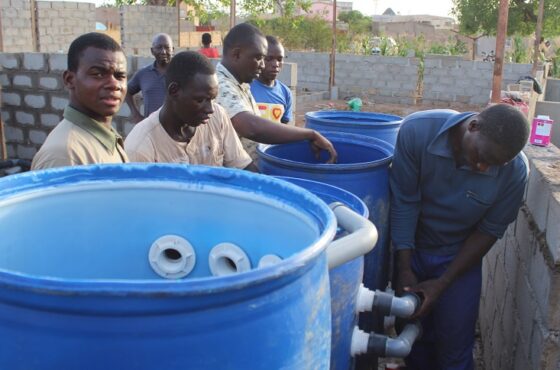 PISCICULTURE AU BURKINA FASO : La Fondation RAVI se dote d’une écloserie pour booster la production