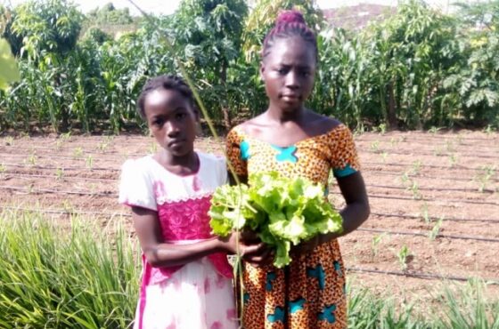 Formation des enfants : La Fondation RAVI soutient les enfants en marge de l’école en les apprenants à exercer des activités de production agricole en jardin hors sol.