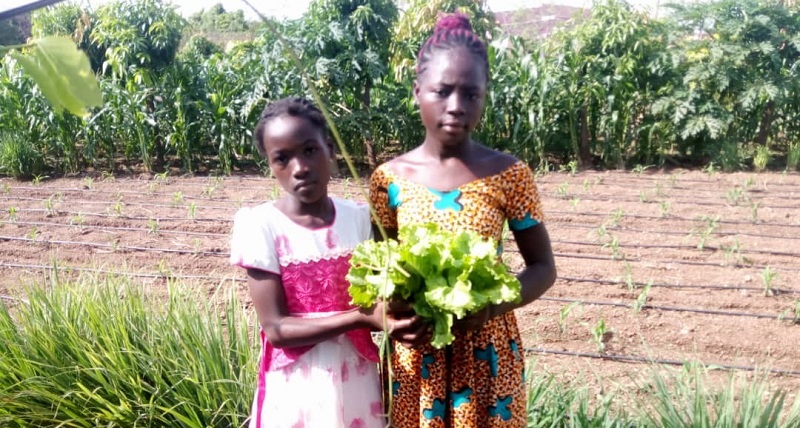Fondation RAVI