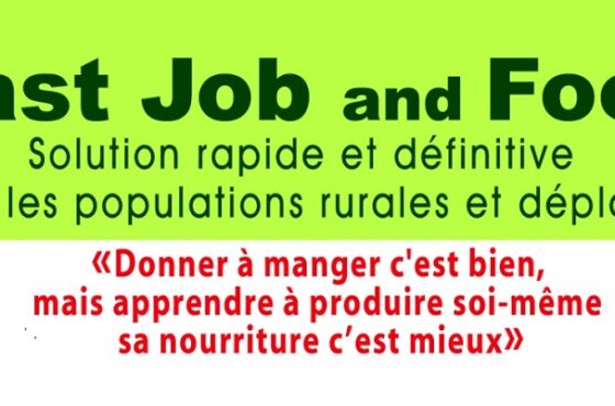 Fondation RAVI (REVIE) : Premier jour de déploiement du projet Fast Job and Food dans la Province du Yatenga dans la Région du Nord
