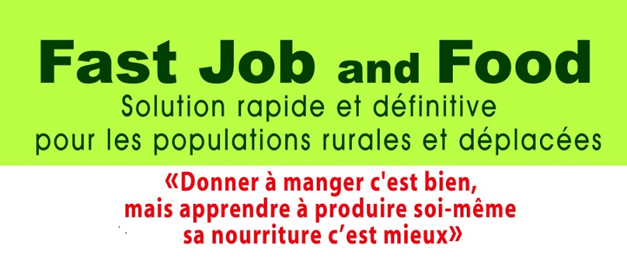 Fondation RAVI