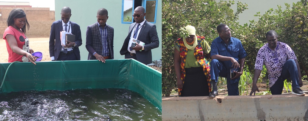 Visite de IB Bank et la fondation HANNS SEIDEL