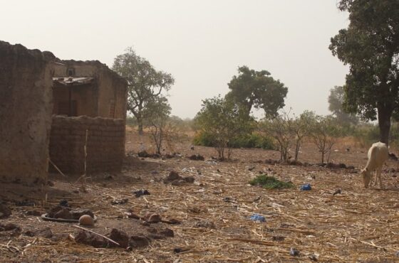 Développement local : Le visage hideux de la pauvreté au Burkina Faso