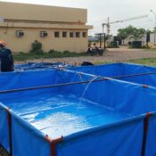 Pisciculture