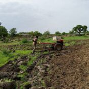 Agriculture